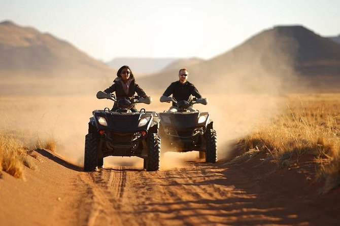 Hurghada Desert Safari ATV, Dune Buggy and Camel Adventure Tour - Traveler Reviews and Feedback