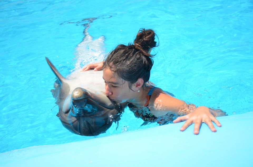 Hurghada: Dolphin World Private Swimming With Pickup - Customer Experience