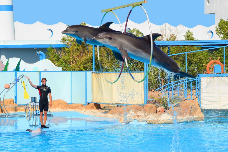 Hurghada: Dolphin World Show With Walruses and Pickup - Customer Experience