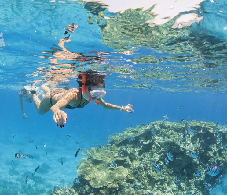 Hurghada: Giftun Island Fun Cruise Tour With Snorkeling - Customer Reviews