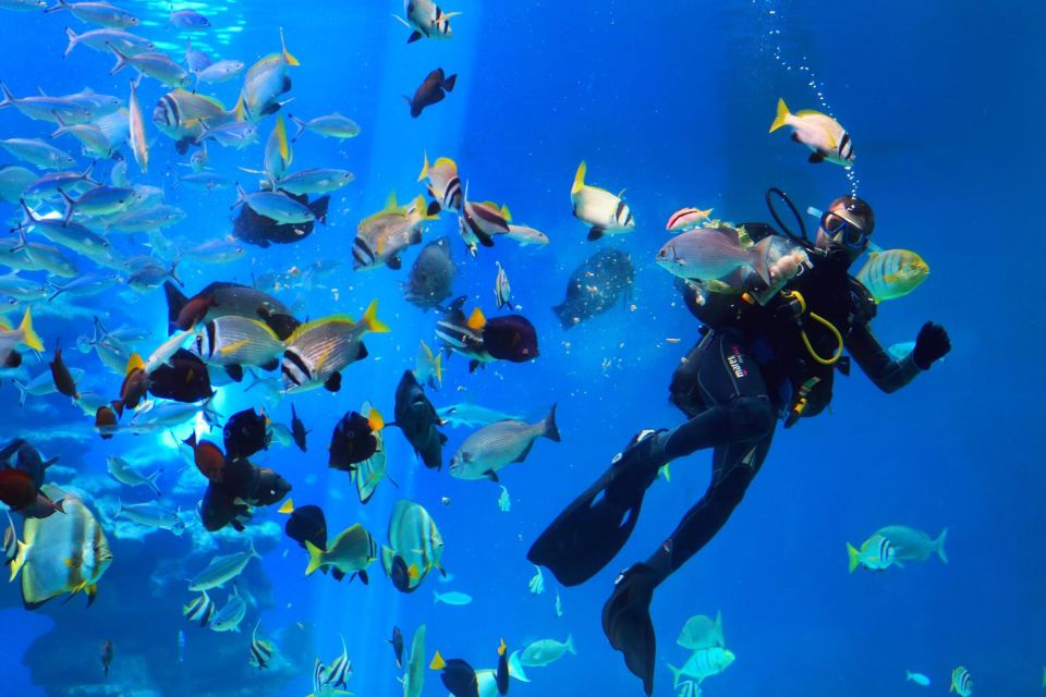 Hurghada: Orange Island Trip With Lunch, Dive, and Parasail - Safety and Regulations