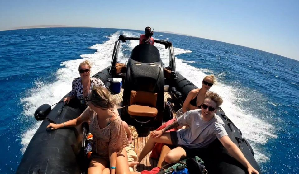 Hurghada: Private Speedboat to Dolphin House With Pickup - Highlights