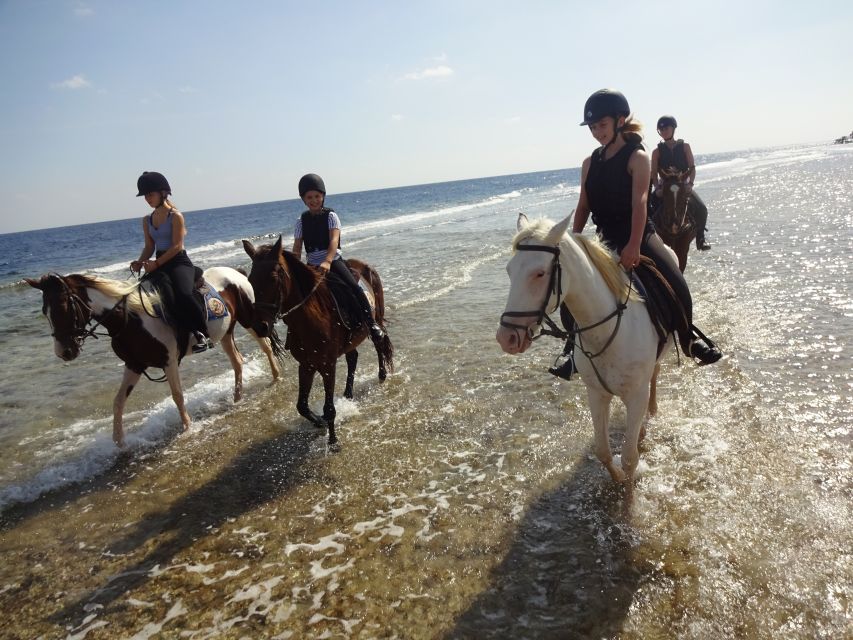 Hurghada: Sea & Desert Horse Tour, Stargazing, Dinner & Show - Included Features