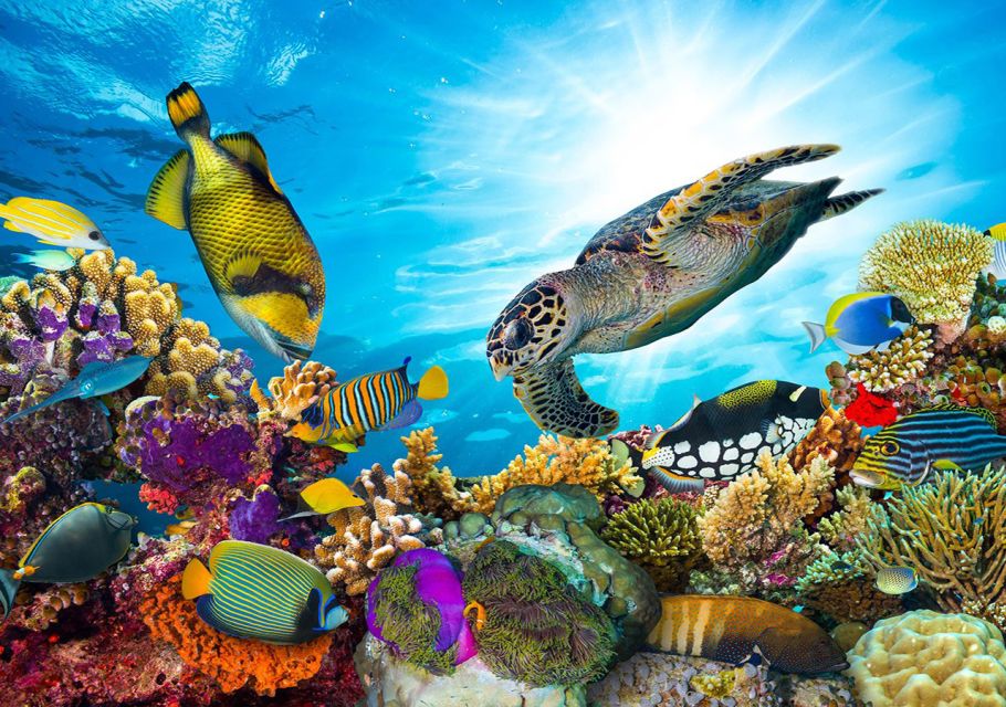 Hurghada: Sharm El Naga Tour With Snorkeling & Lunch - Lunch and Dining Options