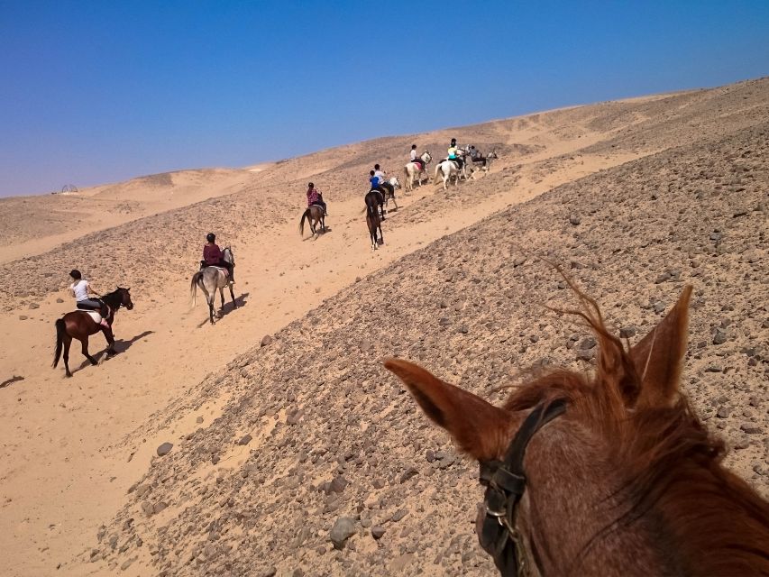 Hurghada: Sunset Sea, Desert Horse W Opt, Dinner, Stargazing - Important Information