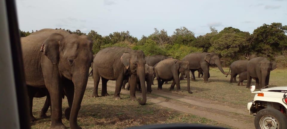 Hurulu Eco Park Excursion - Meeting Point and Arrival