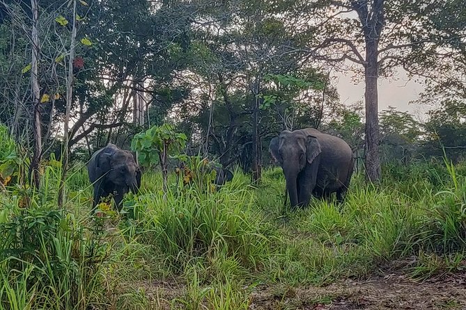 Hurulu Eco Park Private Safari - Pricing and Payment Options