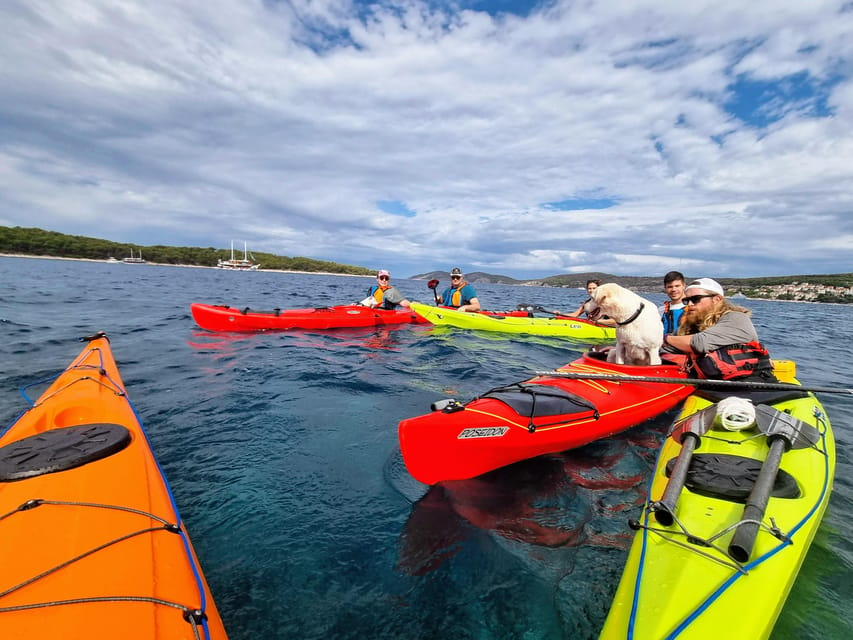 Hvar: Half Day Kayak Tour to Pakleni Islands - Safety and Experience