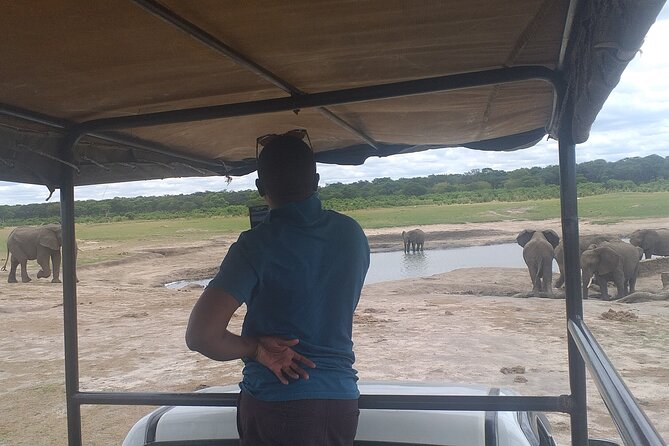 Hwange National Park Full Day Trip - Guides and Their Expertise