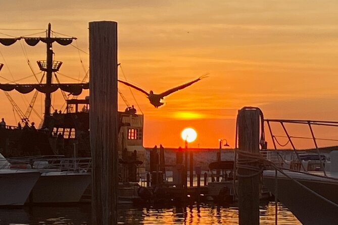 Hydrojet Dolphin & Sunset Cruises in Destin - Safety Considerations and Accessibility