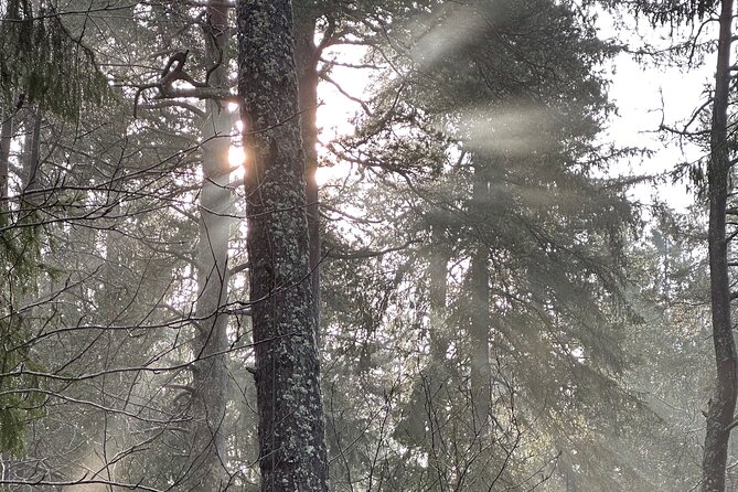 Icebathing and Sauna With Forest Hike in Stockholm - Private - Booking and Cancellation Policies