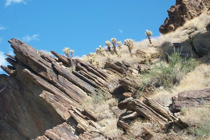Indian Canyons Hiking Tour by Jeep From Palm Springs - Desert Oasis and Seasonal Spring