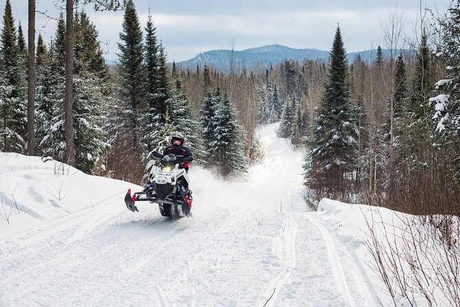 Indy 650 Snowmobile Rental at Action Rentals MT - Customer Reviews and Ratings