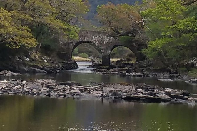Innisfallen Island - Enjoy the Scenery & History of the Lakes of Killarney. - Guided Tour Highlights