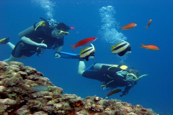 Intro Diving for Beginners 2 Stops Diving With Lunch in Hurghada - Transportation Details