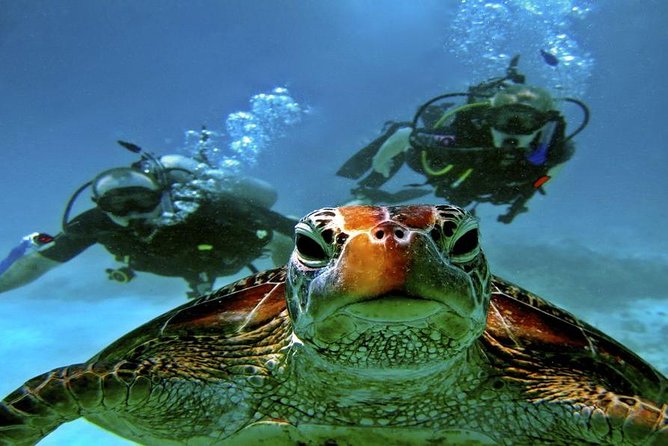 Intro Scuba Diving Beginners Full Day Boat Trip 2 Stops Diving & Lunch– Hurghada - Booking Process