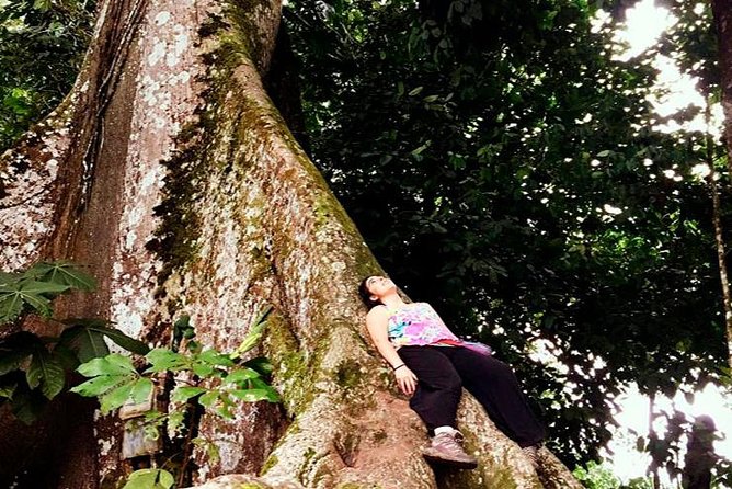 Iquitos in the Jungle 3 Days - 2 Nights All Include - Pricing and Booking