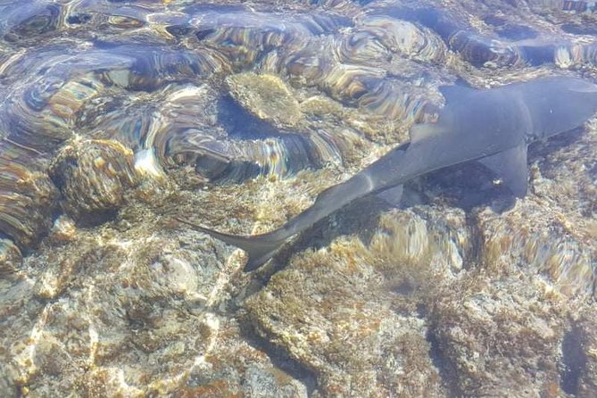 Island Tour With a Local Guide - Booking Information