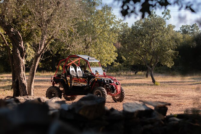 Istra Buggy Tours - Fazana - Adventure Level and Customer Feedback