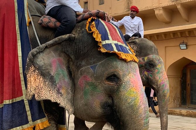 Jaipur Discovery With Guide and Driver - Booking Information and Policies
