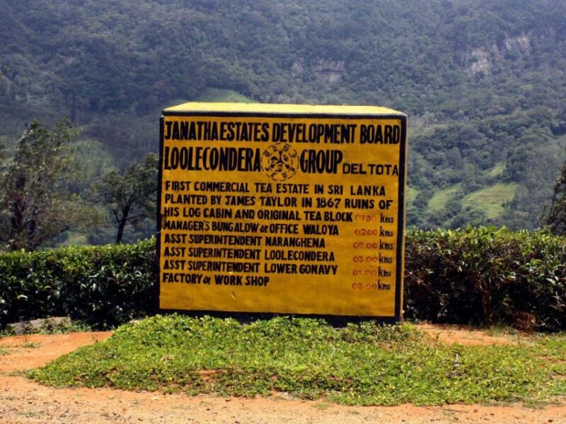 James Taylors Enchanting Tea Story Tour From Kandy - Pickup and Drop-off Locations