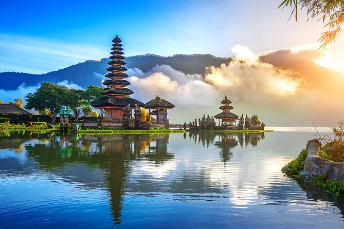 Jatiluwih VW Safari Bali Tour - Volkswagen Classic Car Trip - Booking Your Tour Experience
