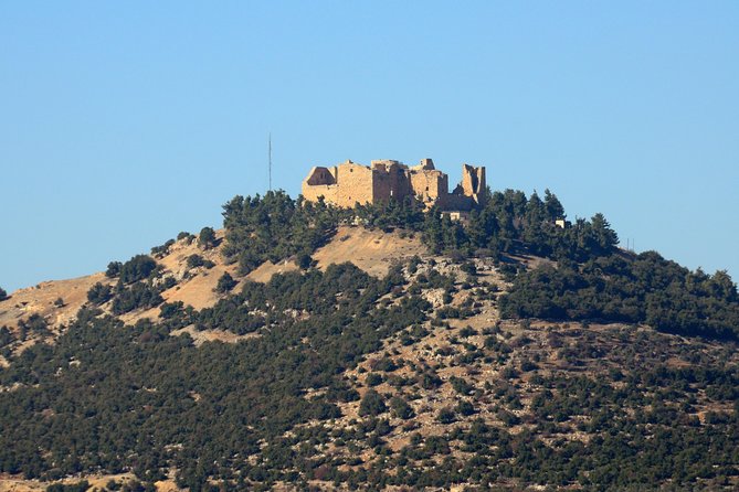 Jerash, Ajloun, Umm Qais Day Trip - Transportation Options