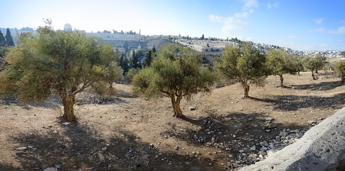 Jerusalem Old City From Tel Aviv - Preparing for the Tour