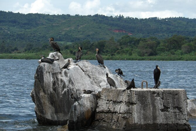 Jinja Tour & Source of River Nile - Cancellation Policy