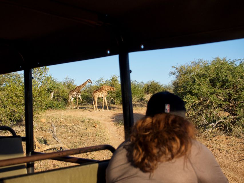 Johannesburg: 3-Day Classic Kruger National Park Safari Tour - Meals and Drinks