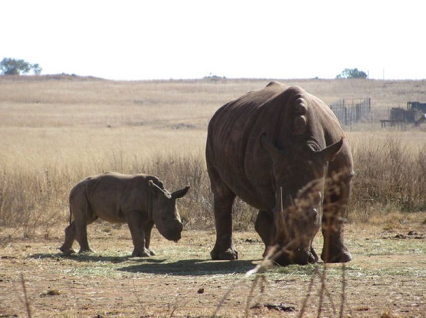 Johannesburg: Day Trip to Cradle of Humankind and Game Drive - Sterkfontein Caves and Maropeng Museum