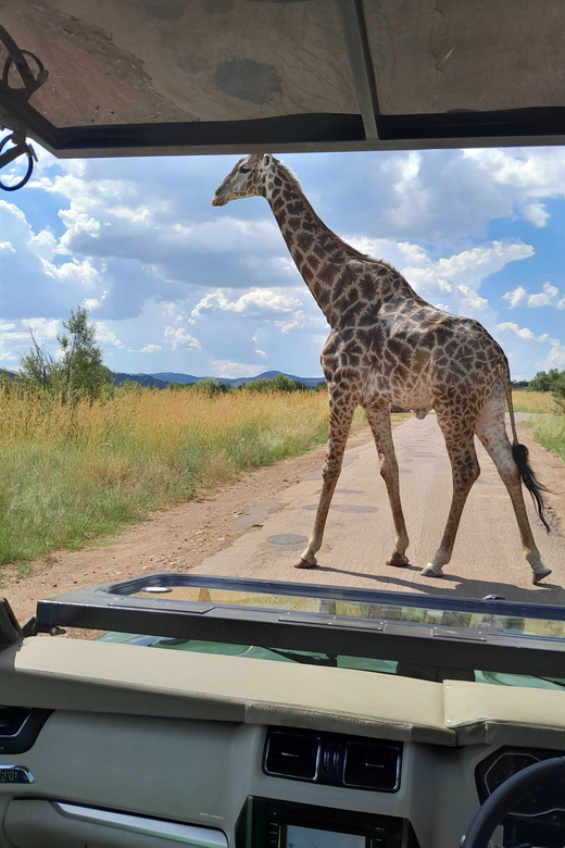 Johannesburg: Pilanesberg National Park 2-Day Private Safari - What to Bring and Recommendations