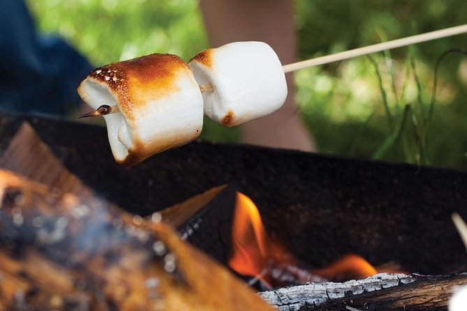 Juneau Gold Creek Salmon Bake - Customer Reviews and Feedback