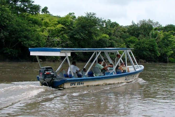 Jungle River Cruise and Coffee Tour - Meeting Location and Pickup