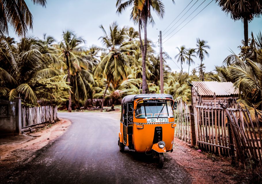 Kandy: City Tour by Tuk-Tuk With Lunch and Dance Performance - Visiting the Temple of the Tooth