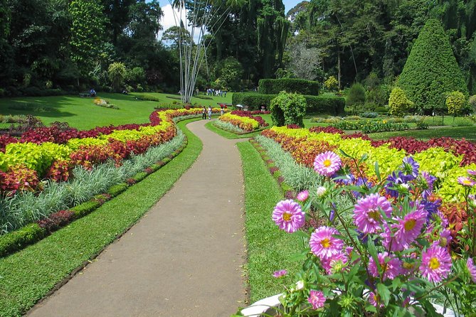 Kandy City Tour From Colombo - Customer Reviews