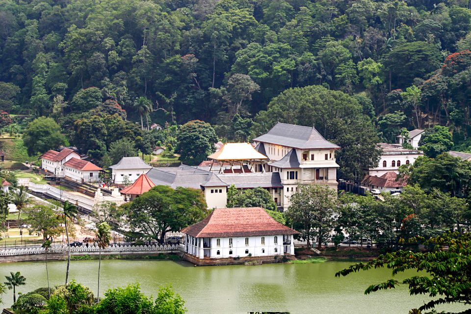 Kandy City Walk With a Local (Private 5-Hour Tour) - Important Information