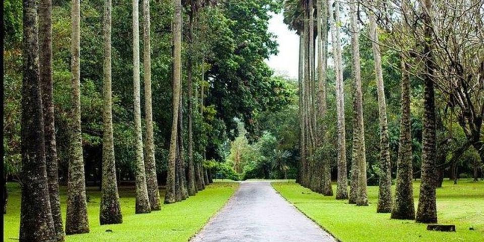 Kandy & Nuwara Eliya: 2-Day Tour! - Important Information