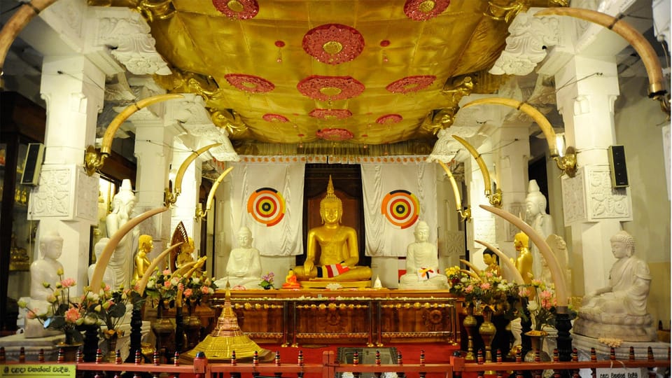 Kandy: Sigiriya, Dambulla,Minneriya National Park Day Tour - Inclusions and Exclusions