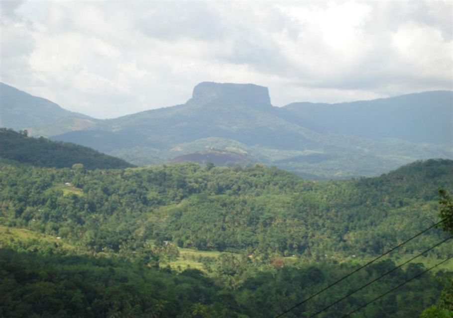 Kandy to Pinnawala Elephant Orphanage by Tuk - Daily Schedule at the Orphanage