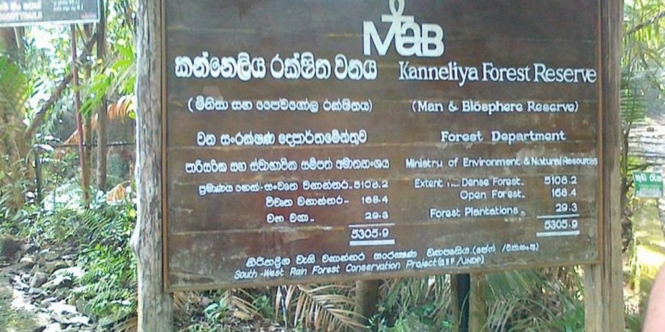 Kanneliya Forest Discovery: Guided Nature Expedition - Natural Features