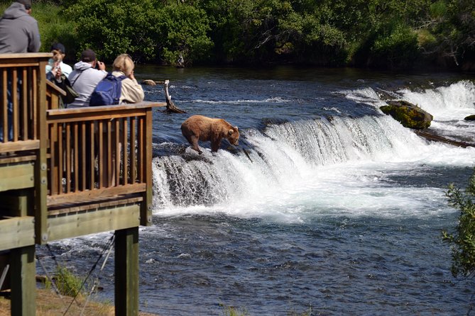 Katmai Brooks Falls Bear Experience - Preparing for Your Trip
