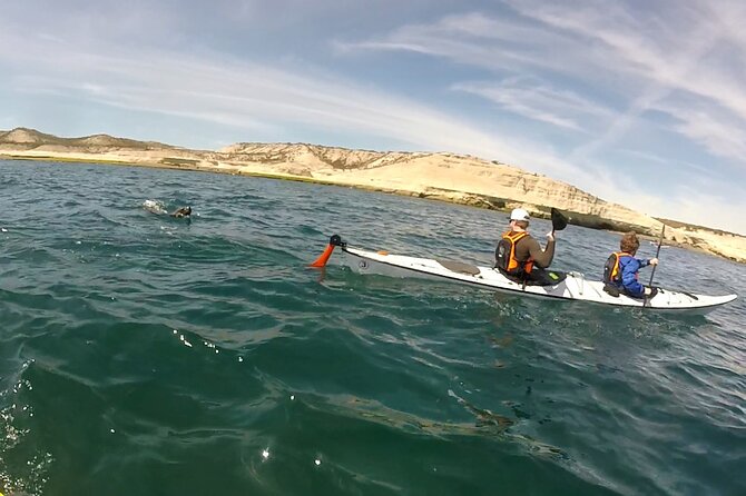 Kayak Paddling Experience With Sea Lions in Puerto Madryn - Activity Expectations