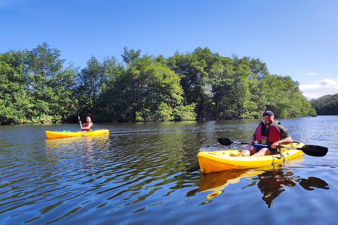 Kayaking Tour in Gandoca Lagoon Throug Mangrove Forest - Meeting and Pickup