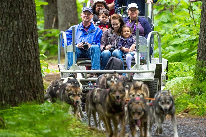 Kennel Tour and Dog Sled Ride - Traveler Reviews