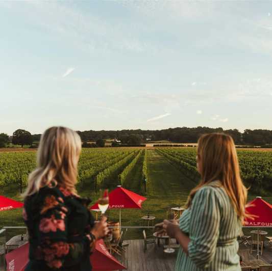 Kent: Balfour Vineyard Walk and Wine Tasting - Tasting Room Experience