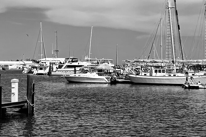 Key West Art History Private Tour - Reviews and Recommendations