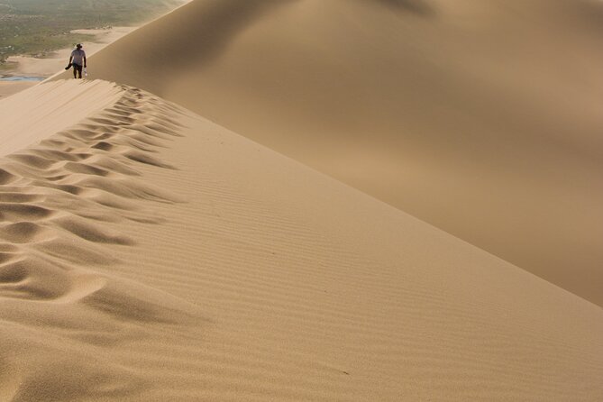 Kharkhorum, Khustai, Mini Gobi & Ger Under the Stars: 3-Day Tour - Day 3 Exploration