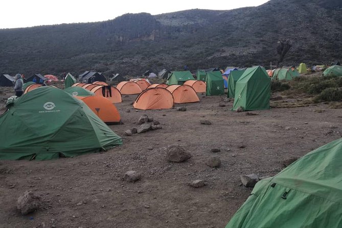 Kilimanjaro Climbing Via Machame Route 8 Days - Guest Testimonials and Reviews