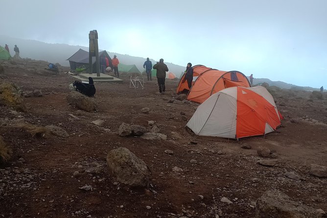 Kilimanjaro Experience 7 Days Lemosho Route - Acclimatization and Health Considerations